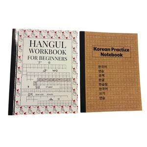 Lot of 2 Korean Practice Notebooks Hangul Workbook for Beginners Writing NEW